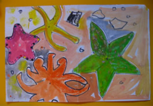 Starfish for kids